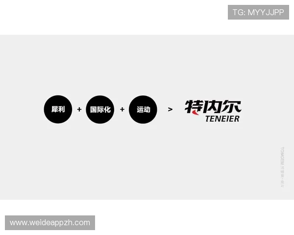 中国体育品牌网官网汇聚国内外优质体育品牌资源与合作机会详解